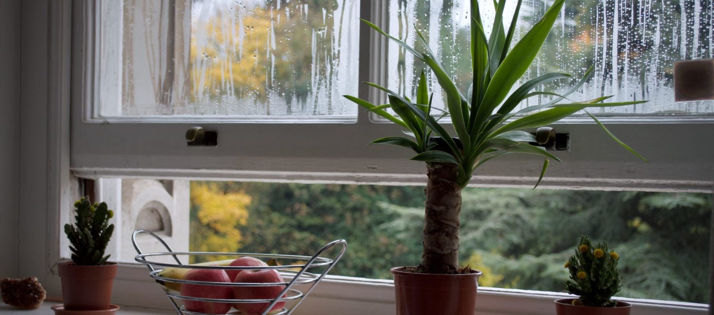 Condensation forming on double glazing
