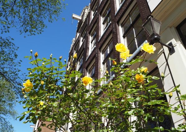 Spring 2022 DIY Trends: The Latest Home Decorating Ideas