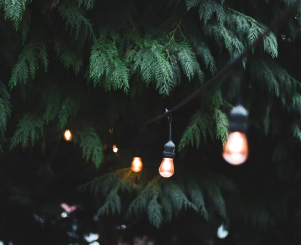 Tips To Ensure Outdoor Lighting Safety