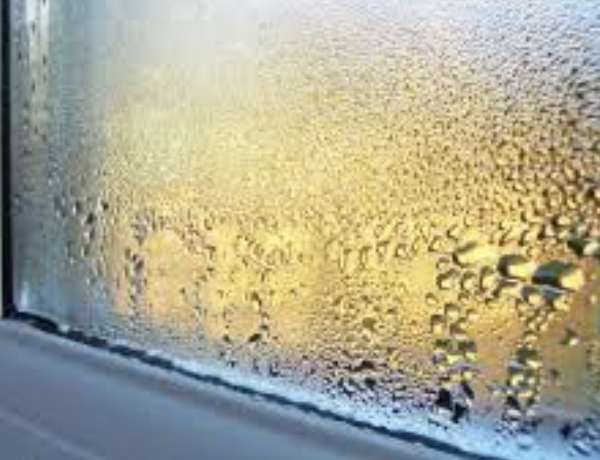 Why Is There Moisture Inside My Window?