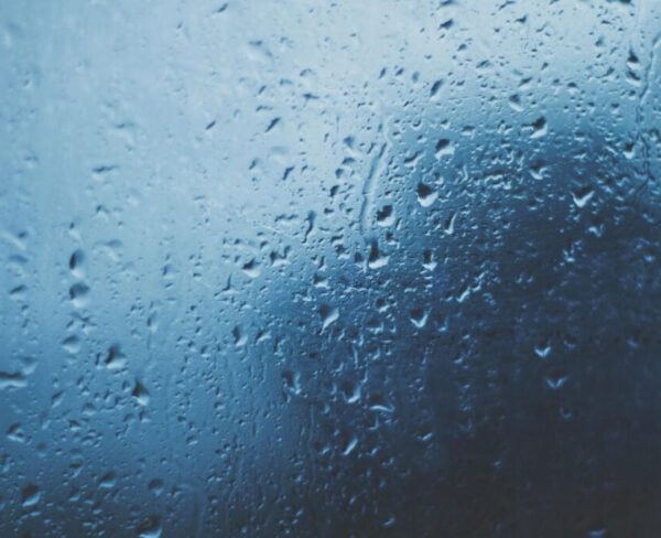 How to Stop Condensation on Windows